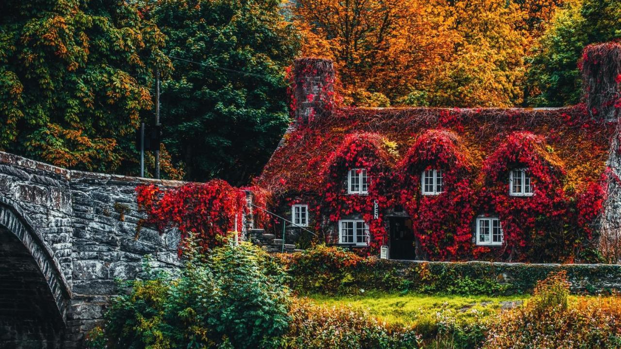 Sterling Bed&Breakfast Llandudno Zimmer foto